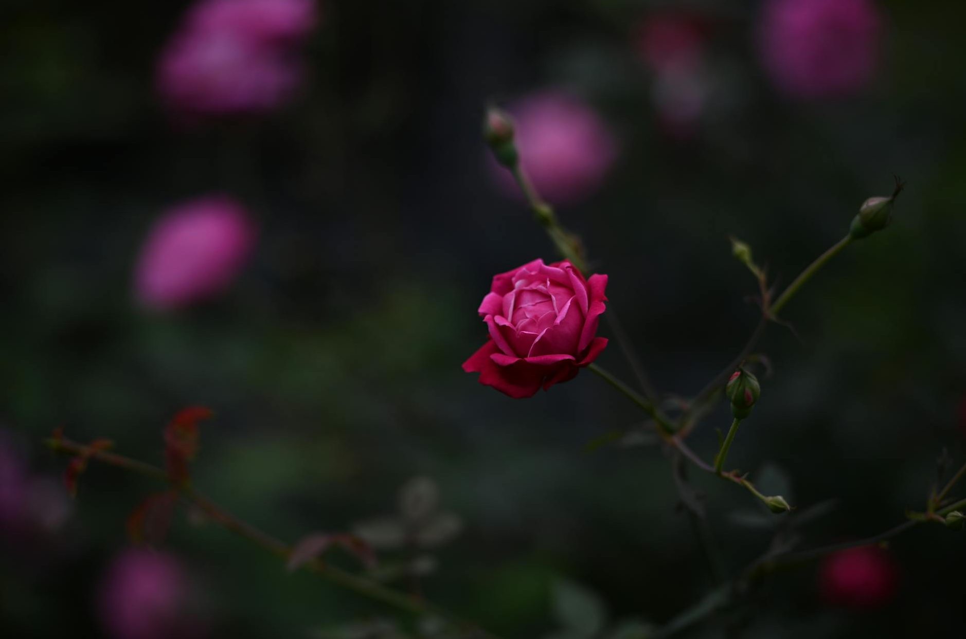 Quando tagliare i costi è la mossa sbagliata: 3 esempi pratici.